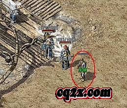 ֮Ӣ۹