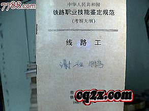 1.76Զ�Ŵ�˵��Ʒ