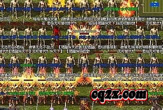 ��ʢ����Ѫ����1.76