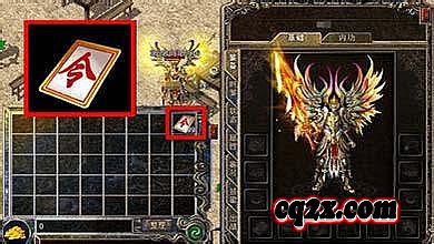 ���������ֻ���������